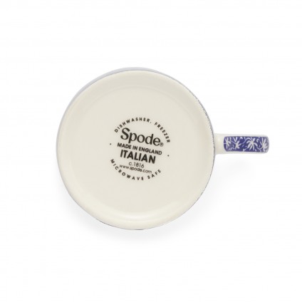 Coffee Cup and Saucer