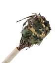 2 Stäusse von BIO-Wildblumen zum Aufgießen