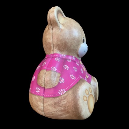 Teddy Bear with t-Shirt