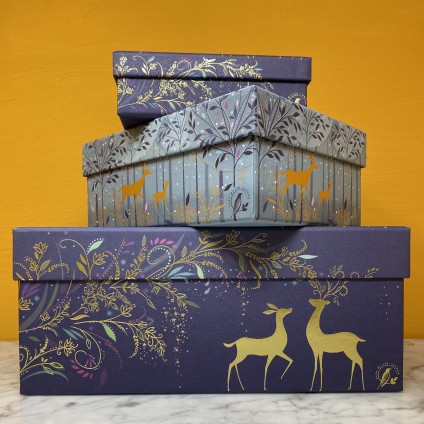 3er Box - Set Magical Deer