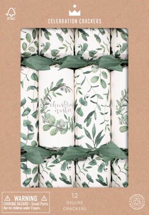 Eucalyptus 30 cm Cracker