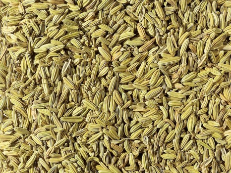 Fennel seed