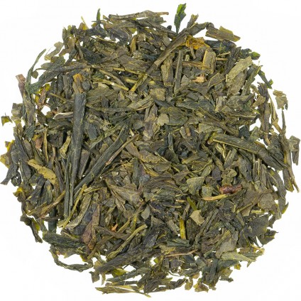 VH Sencha