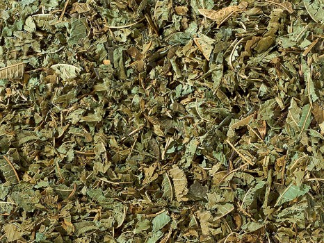 Lemon verbena